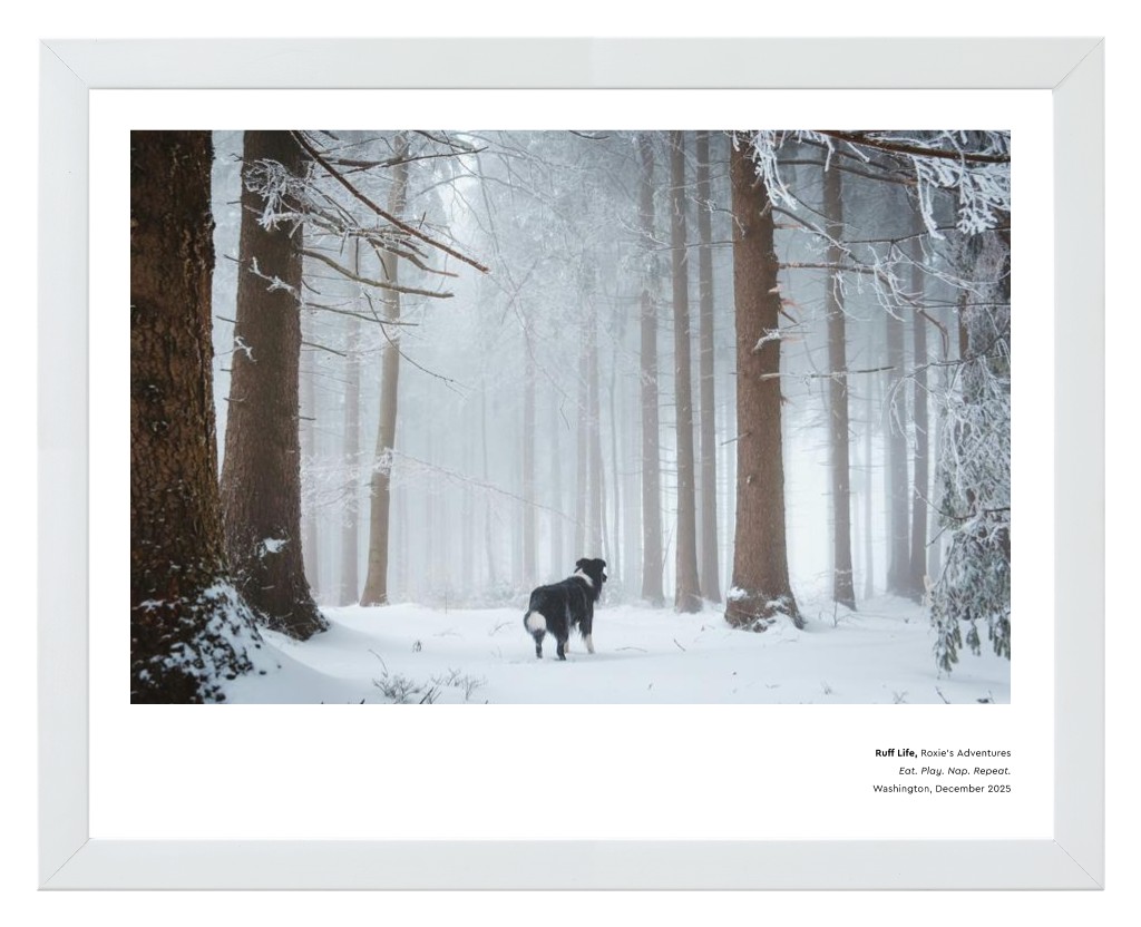 Best in Show - White