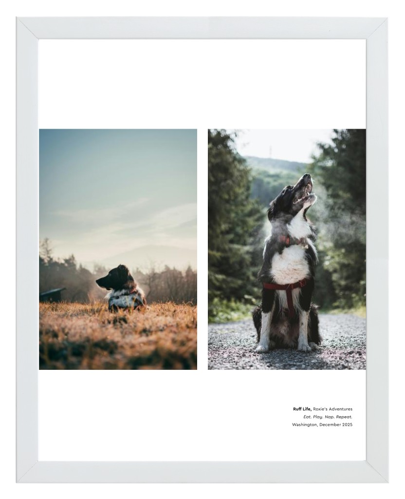 Best in Show - White