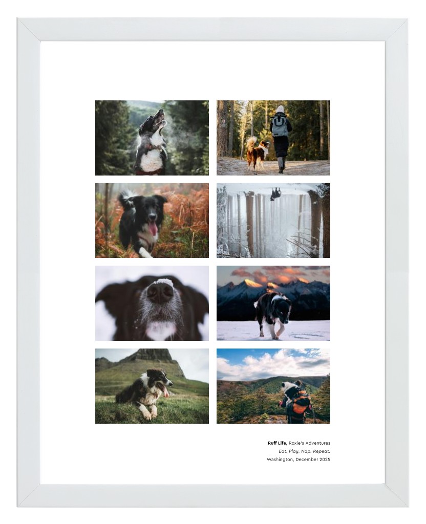 Best in Show - White