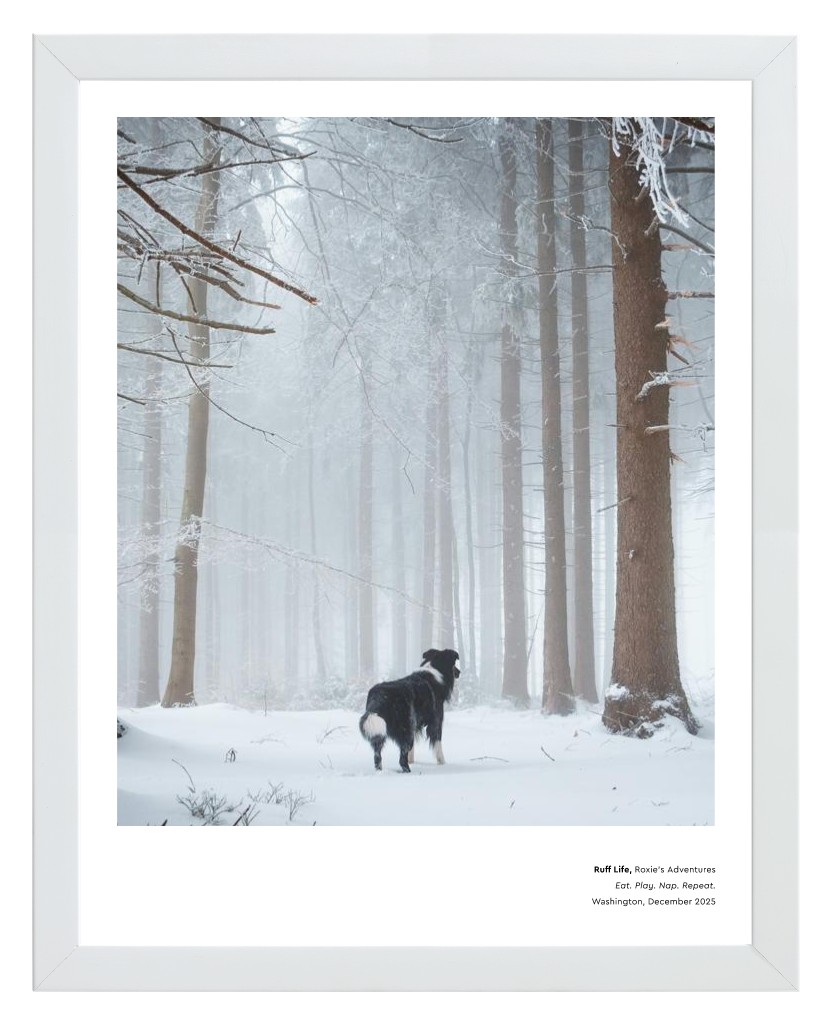 Best in Show - White