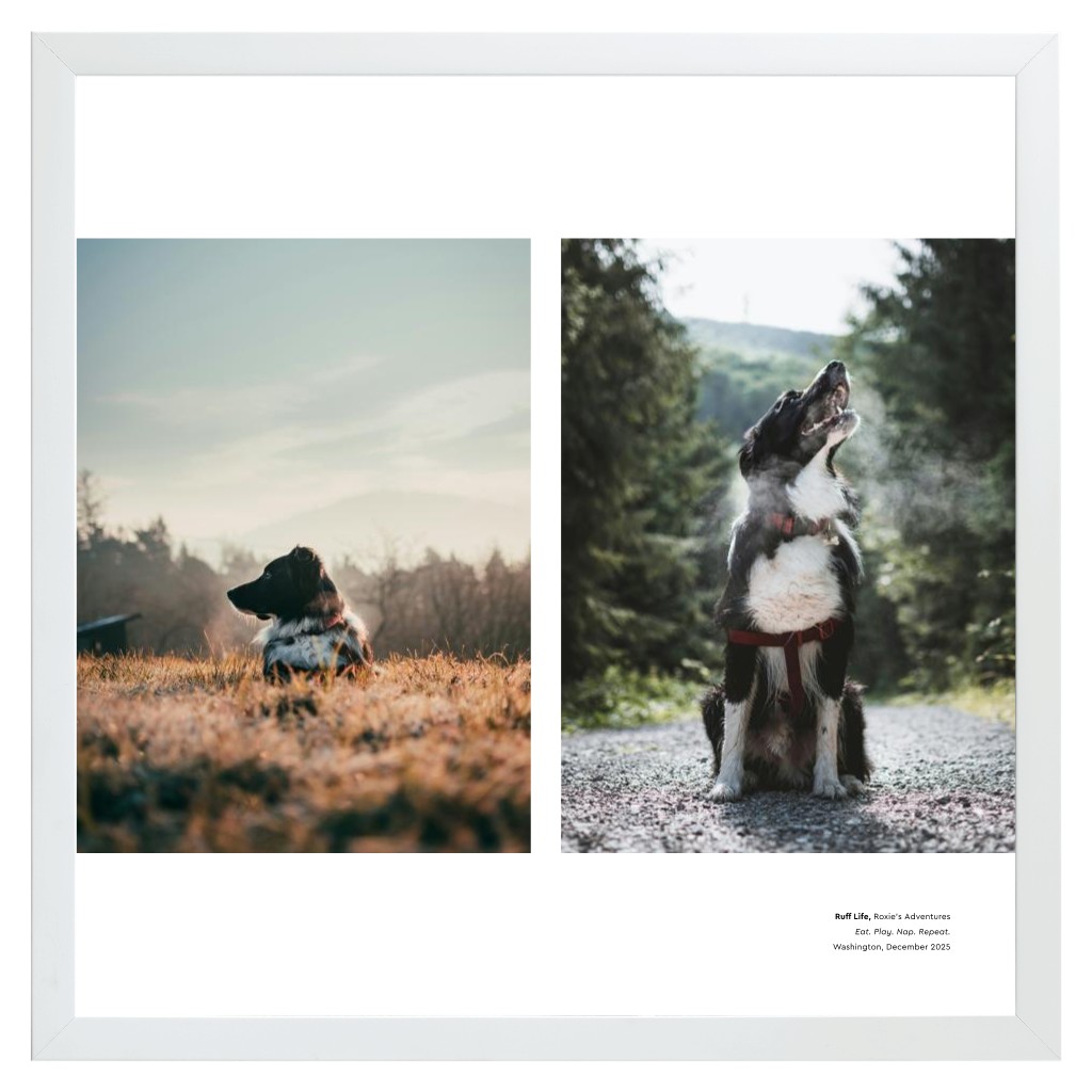 Best in Show - White