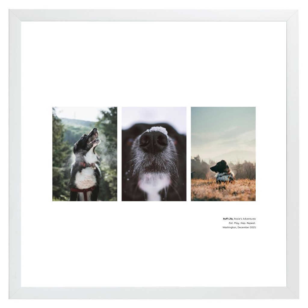 Best in Show - White