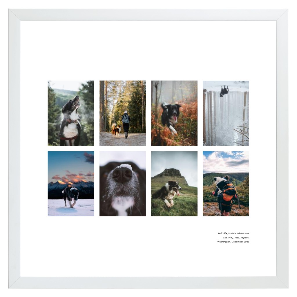 Best in Show - White