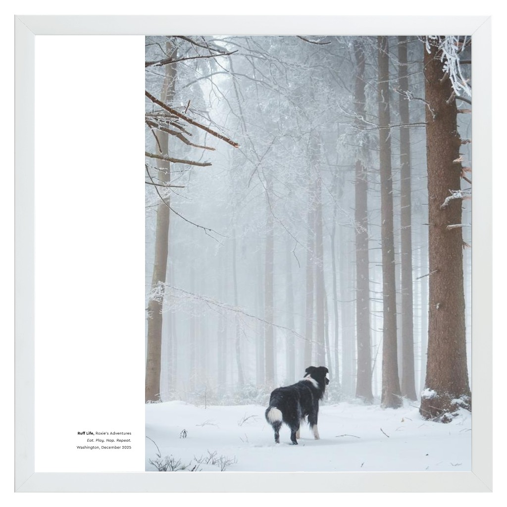 Best in Show - White