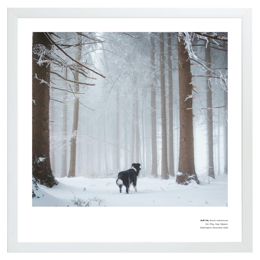 Best in Show - White