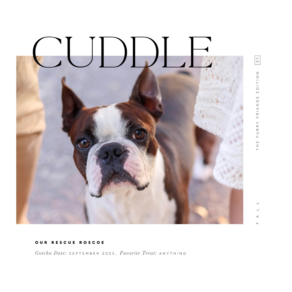 Cover Story Pet 16” x 16” Framed Print - White