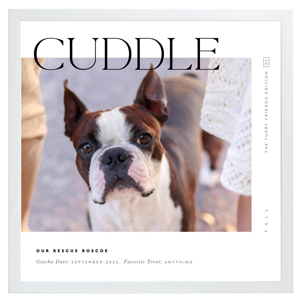 Cover Story Pet 16” x 16” Framed Print - White