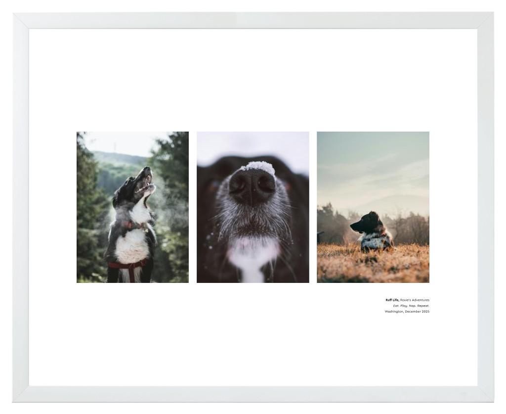 Best in Show - White