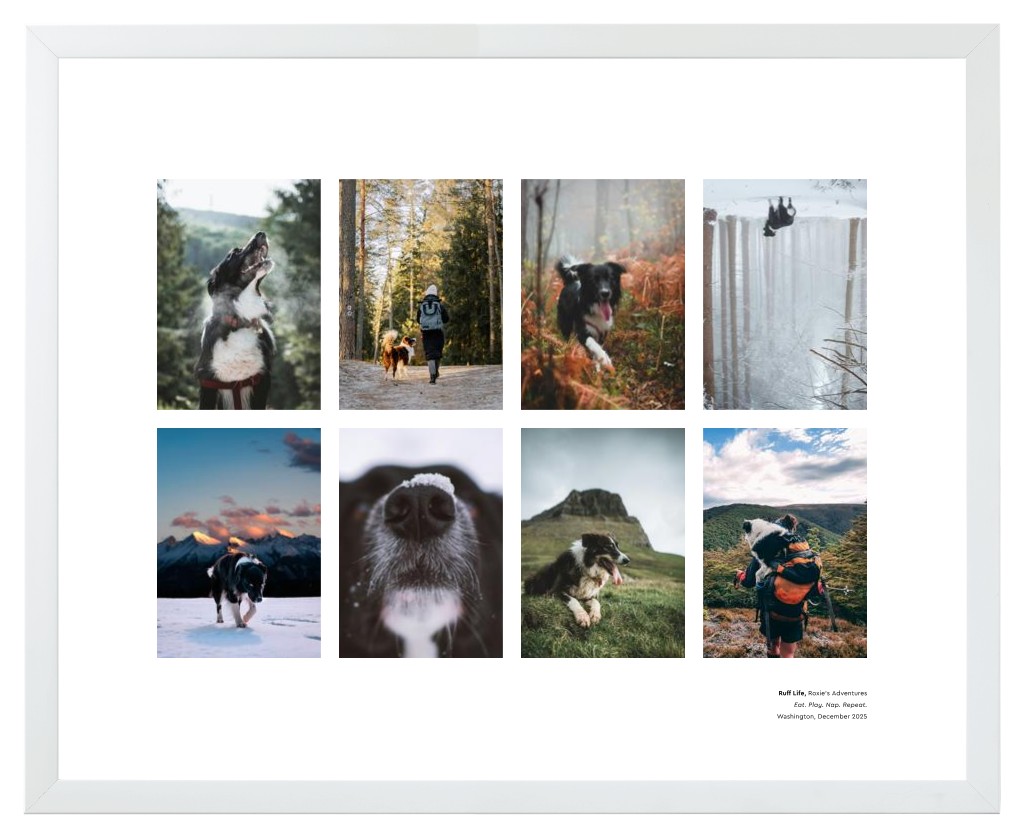 Best in Show - White