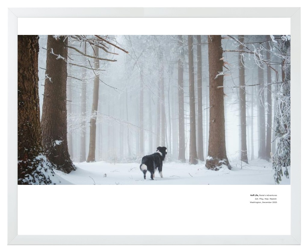 Best in Show - White