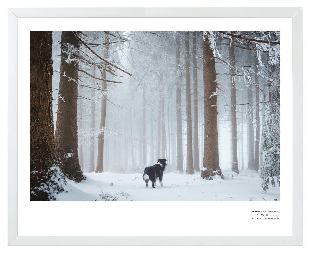 Best in Show - White