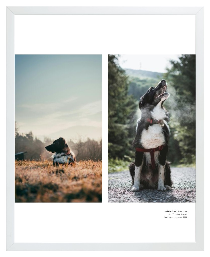 Best in Show - White