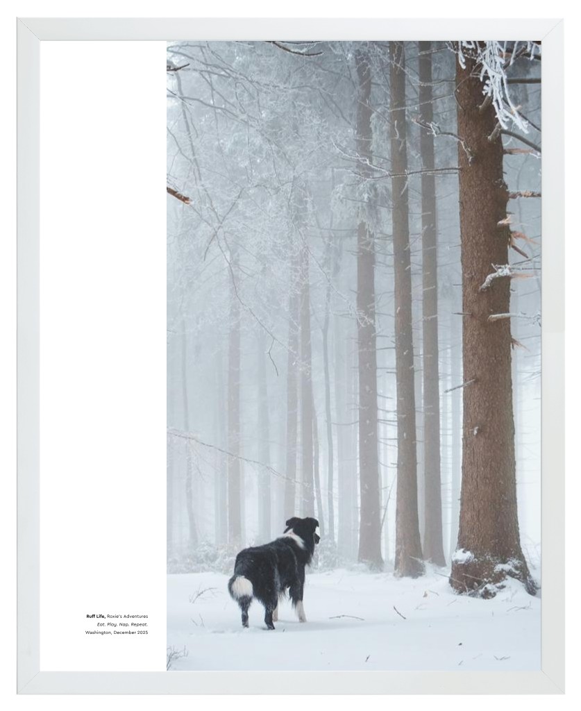 Best in Show - White