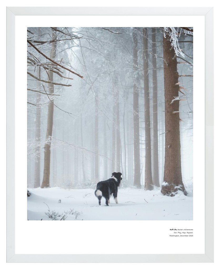 Best in Show - White