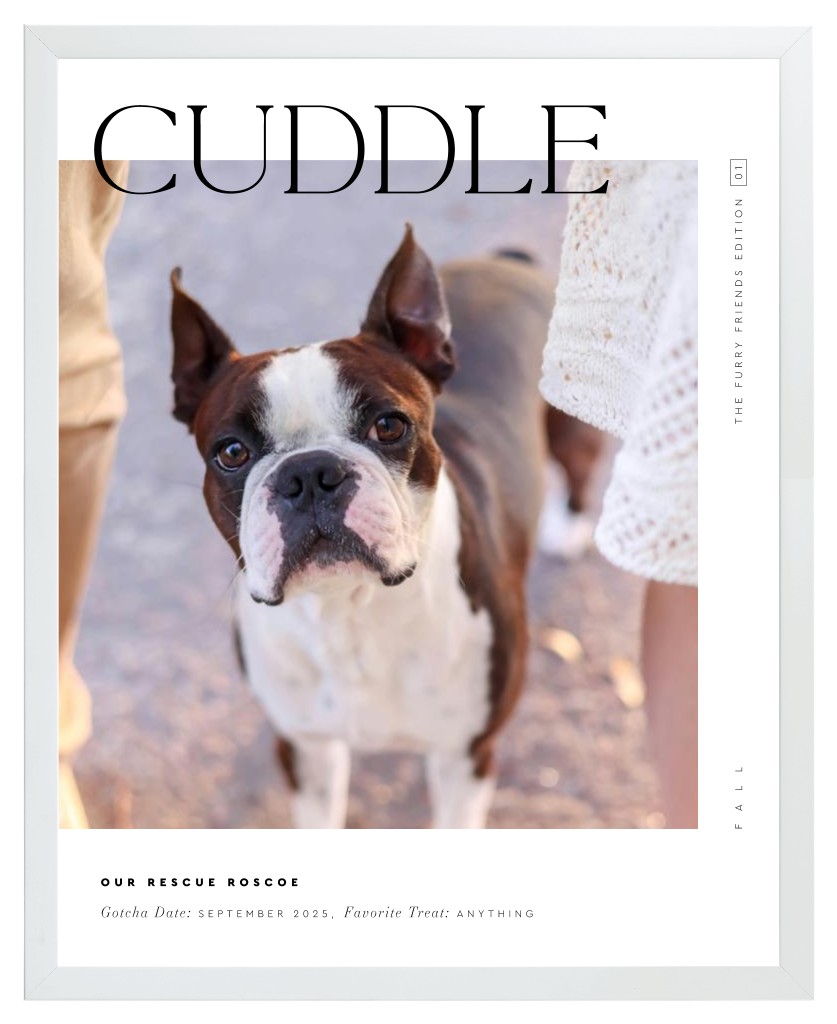 Cover Story Pet 16” x 20” Framed Print - White