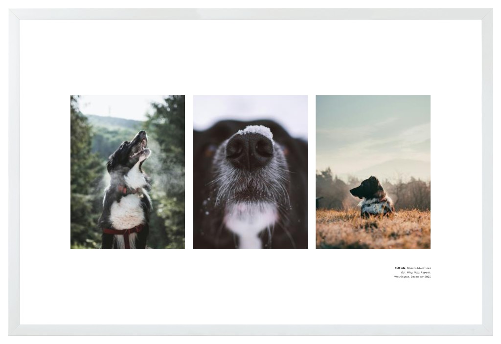 Best in Show - White