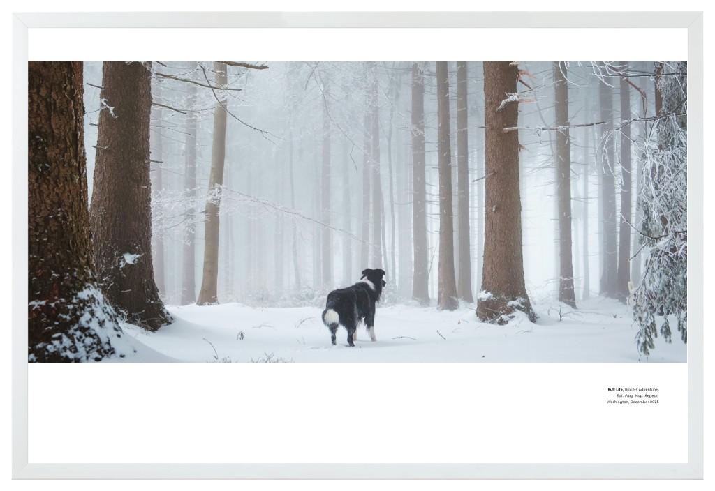 Best in Show - White