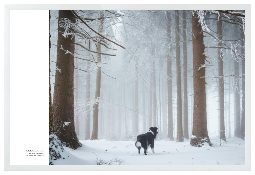 Best in Show - White