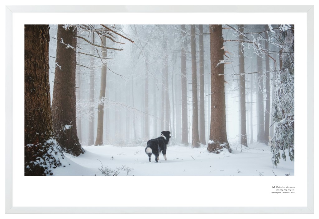 Best in Show - White