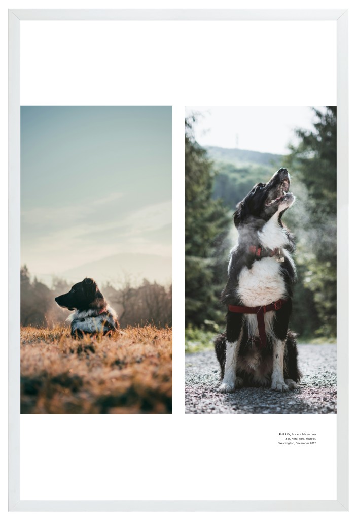 Best in Show - White