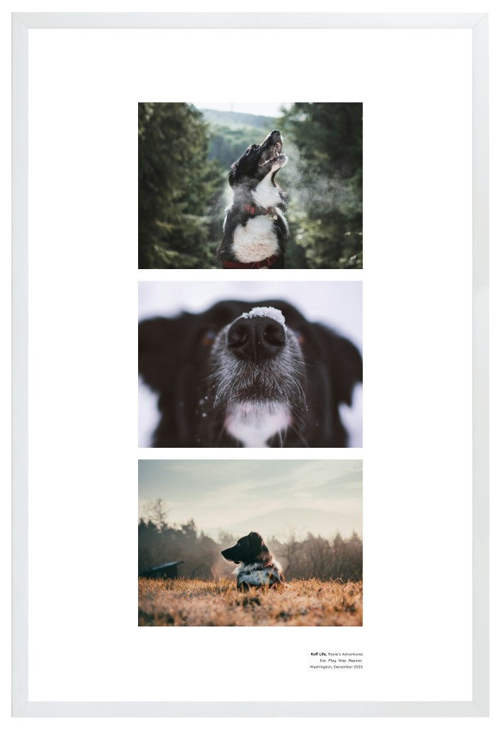 Best in Show - White