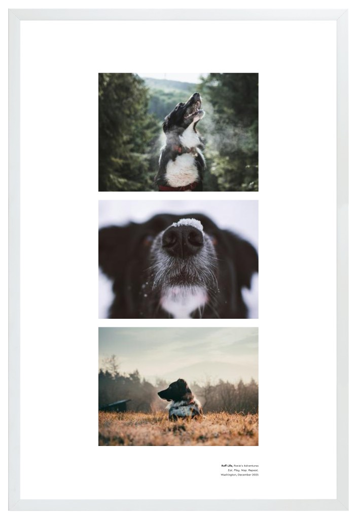 Best in Show - White