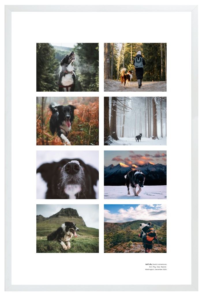 Best in Show - White