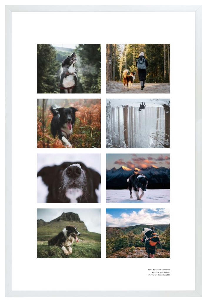 Best in Show - White