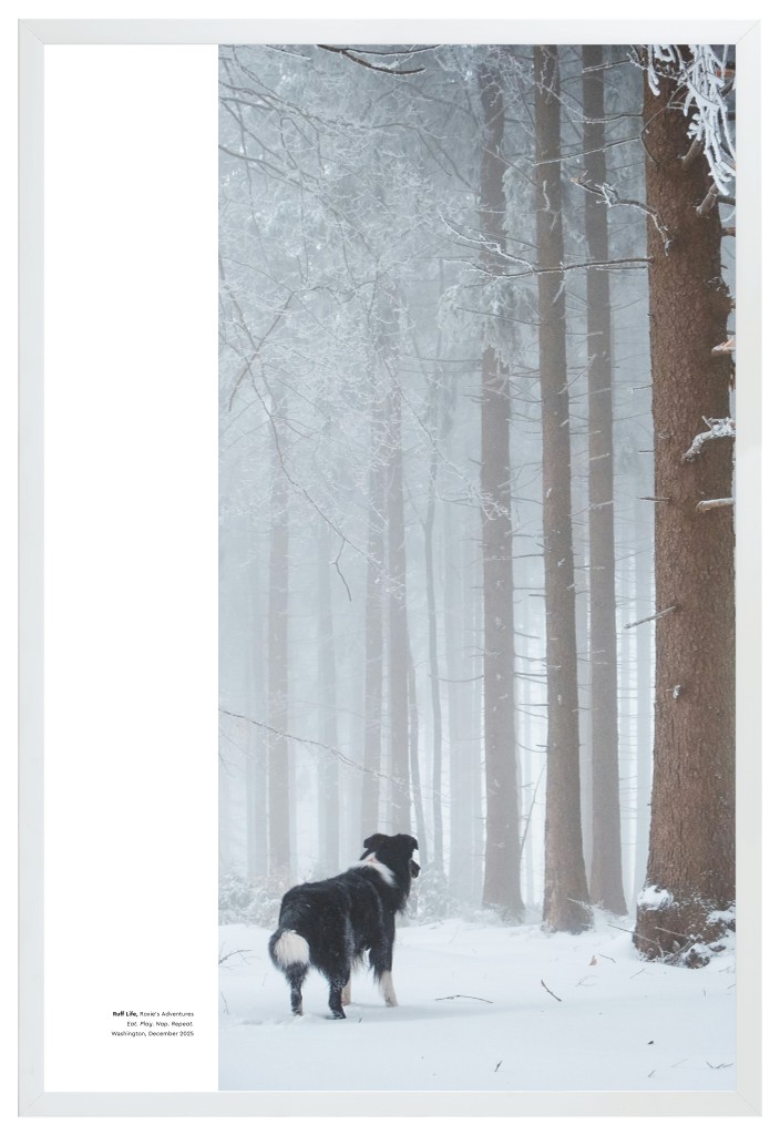 Best in Show - White