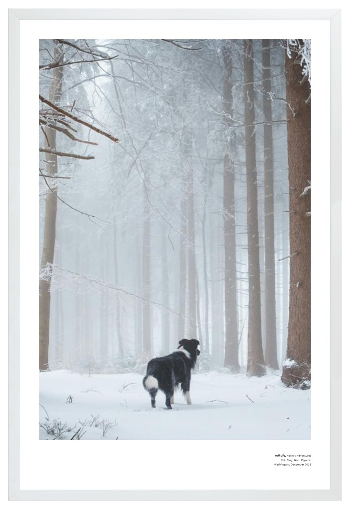 Best in Show - White