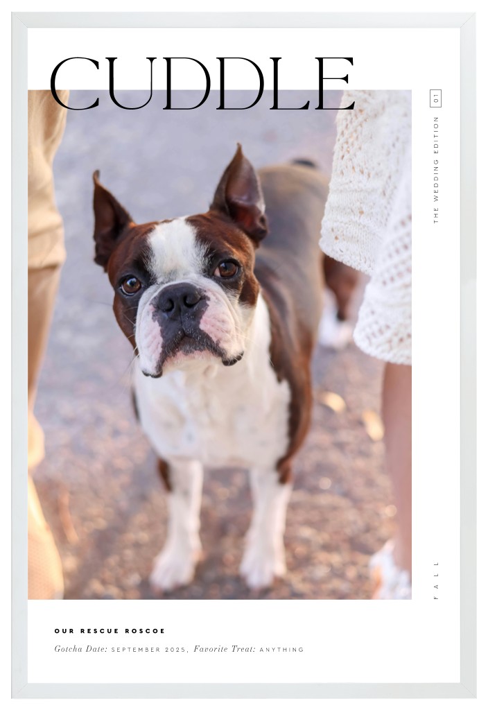 Cover Story Pet 20” x 30” Framed Print - White