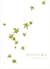 Falling Leaves Holiday Cards - Chartreuse