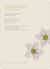 Spriograph Flowers Bridal Shower Invitations - Grape