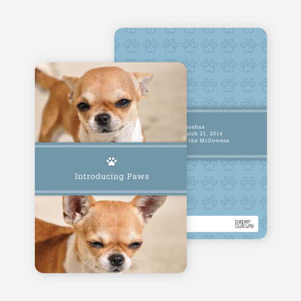 2 Photo Dog Cards - Main