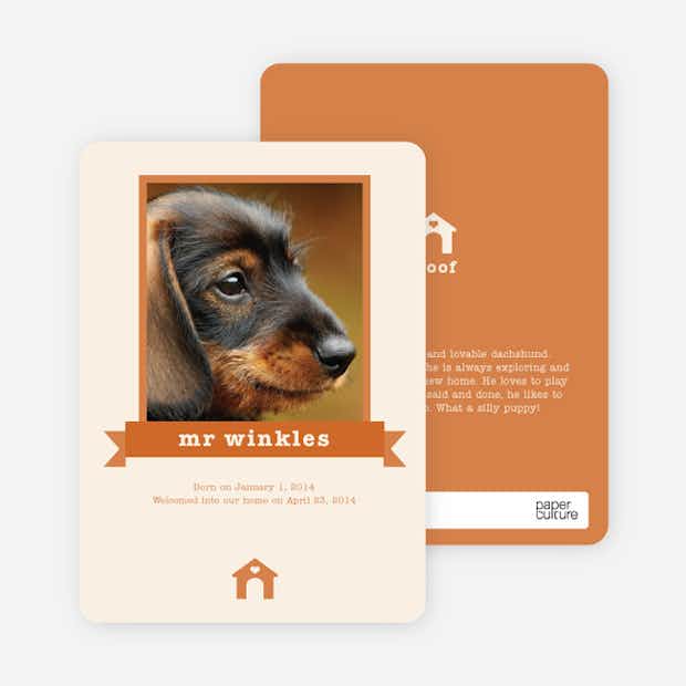 Dog Story Card - Main