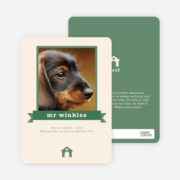 Dog Story Card - Main
