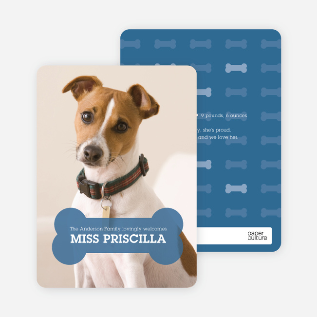 Give the Dog a Bone Announcements - Blue