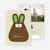 Chocolate Bunny Easter Photo Cards - Green Mint