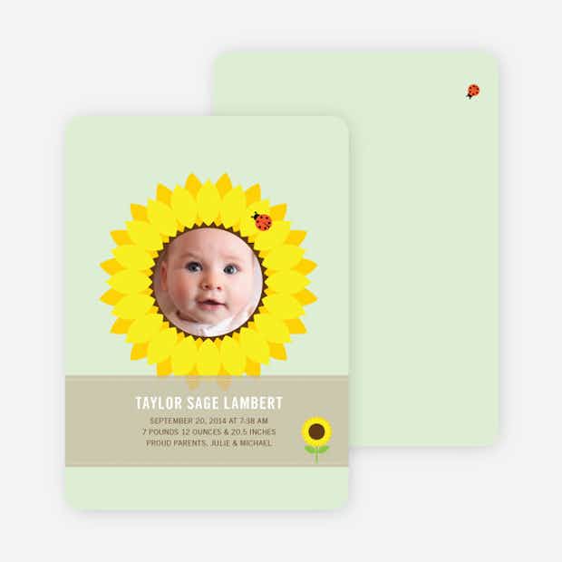 Sunflower Baby - Main