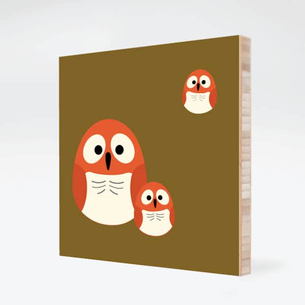 Owl Family - Front