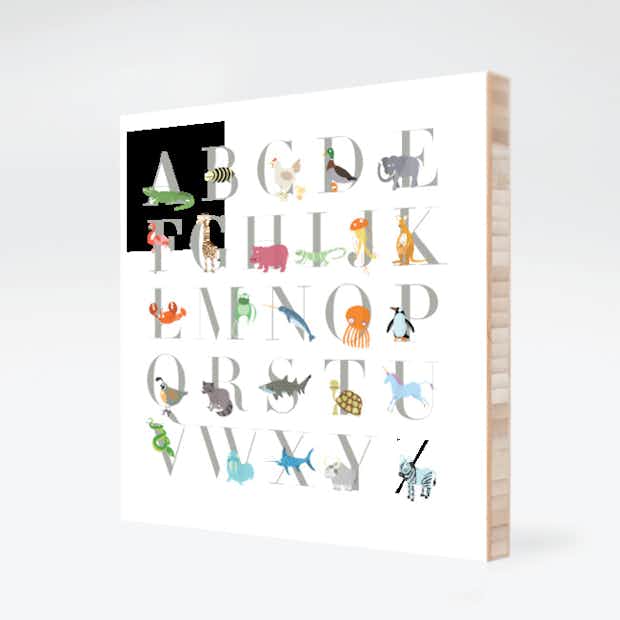 Alphabet Animals A-Z - Front