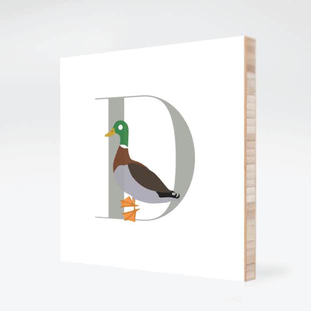 Alphabet Animals D Duck - Front