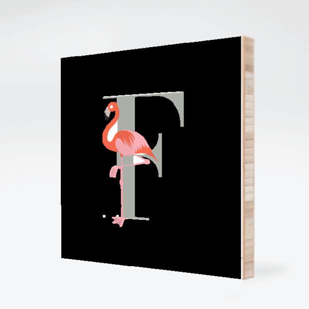 Alphabet Animals F Flamingo - Front