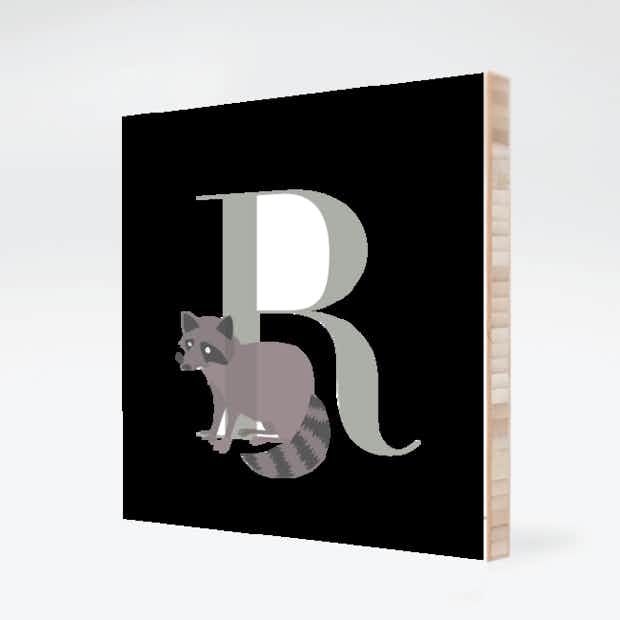 Alphabet Animals R Raccoon - Front