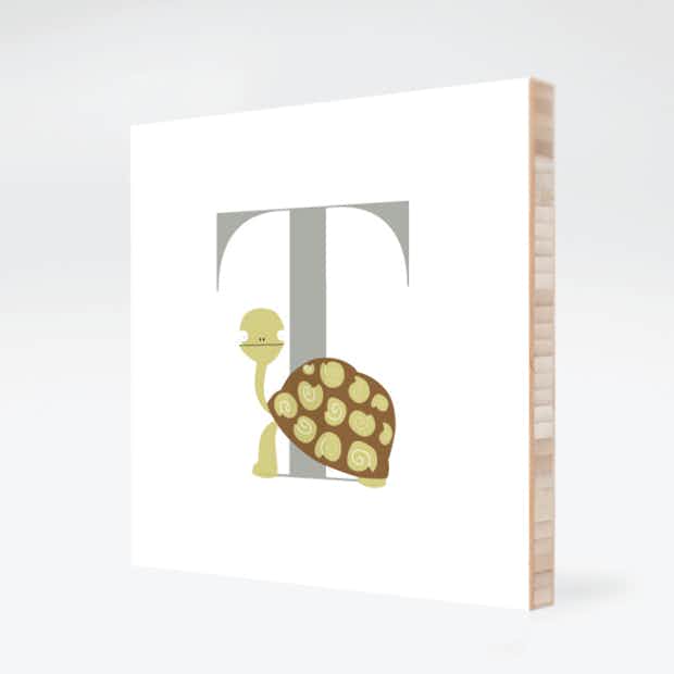 Alphabet Animals T Turtle - Front