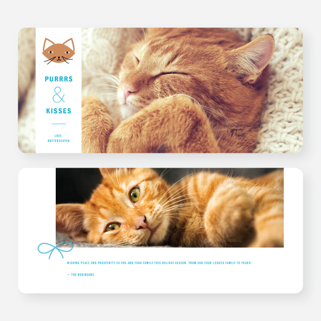 Purrs and Kisses Holiday Cards - Blue