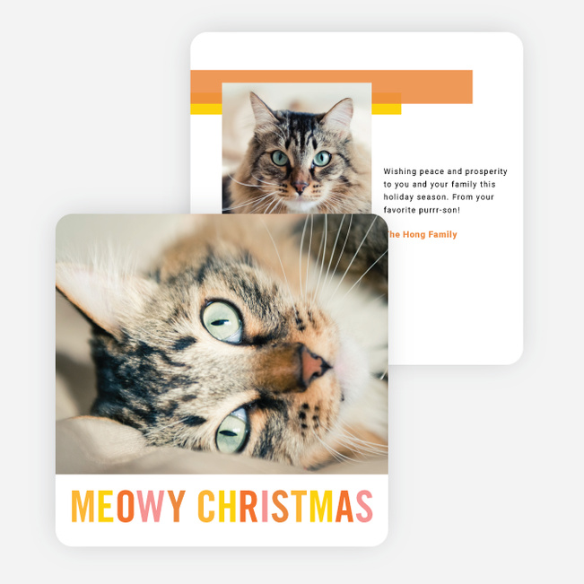 Meowy Christmas Christmas Cards - Multi