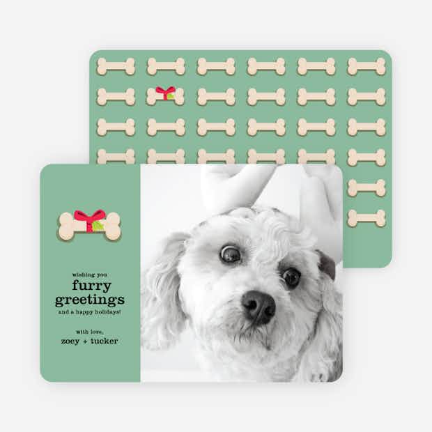 Furry Dog Holiday Cards - Main