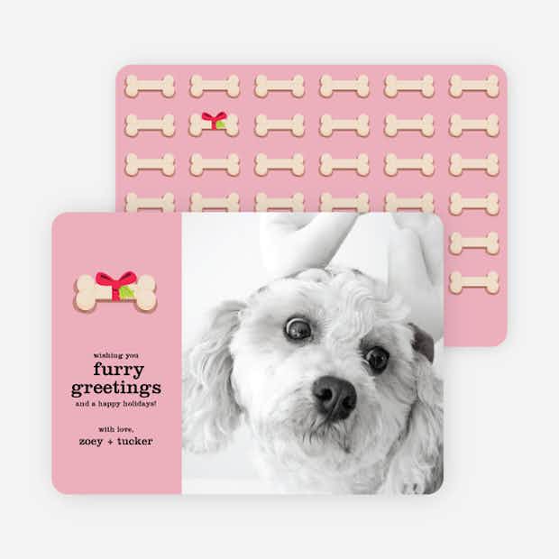 Furry Dog Holiday Cards - Main