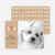 Furry Dog Holiday Cards - Beige